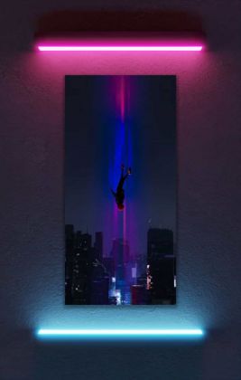 Πίνακας σε καμβά Into the Spider-Verse KNV2420